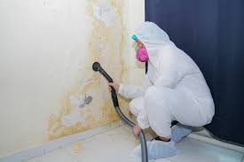 Mold Documentation for Insurance Claims in Lake Wylie, SC